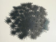 Aneta (wall panel)