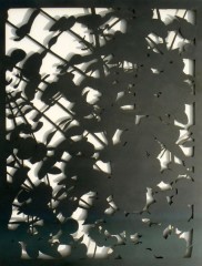 Eucalyptus (wall panel)