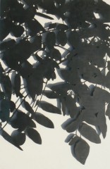 Foglio (wall panel)