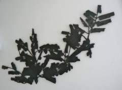 Vindur (wall panel)